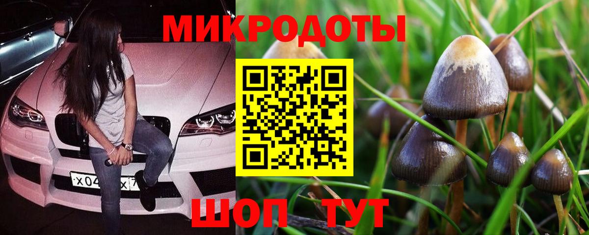 Борисоглебск  Псилоцибиновые грибы мицелий  Вход с VPN 
